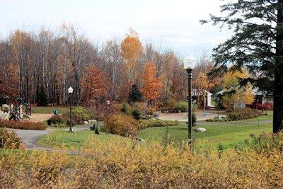 Parc près de Brin de folie